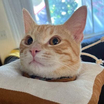 n-d Radio Stress Test: October 2021
